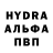 ГАШ hashish gavin myloff