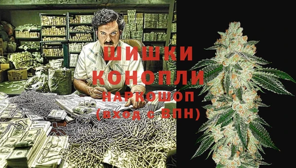 индика Кулебаки