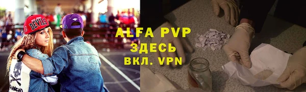 индика Кулебаки
