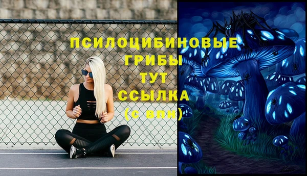 ГАЛЛЮЦИНОГЕННЫЕ ГРИБЫ Струнино