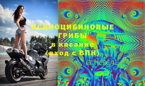 MESCALINE Кукмор