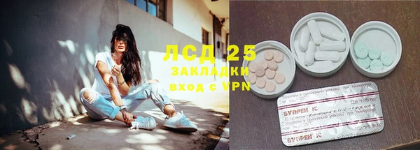 индика Кулебаки