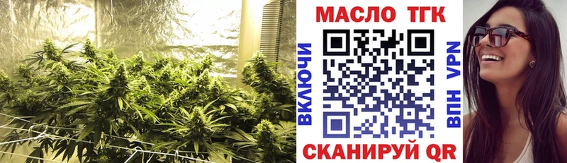 продажа наркотиков  Лабытнанги  mega ONION  ТГК THC oil 