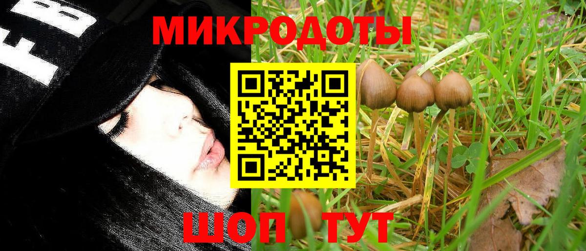 Псилоцибиновые грибы GOLDEN TEACHER Лабытнанги